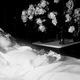 Image for article titled The Strangest Tradition of the Victorian Era: Post-Mortem Photography